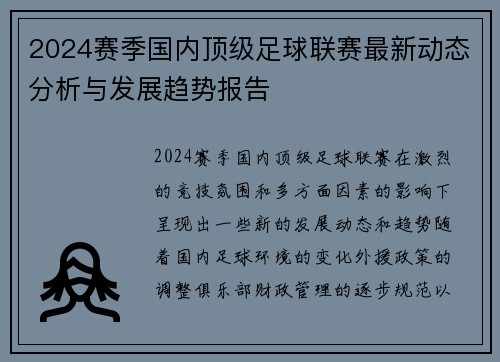 2024赛季国内顶级足球联赛最新动态分析与发展趋势报告